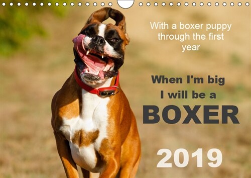 When Im big I will be a Boxer / UK-Version 2019 : With a boxer puppy through the first year 2015 (Calendar, 5 ed)