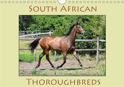 South African Thoroughbreds 2019 : Photographs of South African Thoroughbred horses. (Calendar)