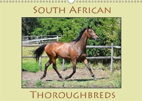 South African Thoroughbreds 2019 : Photographs of South African Thoroughbred horses. (Calendar)