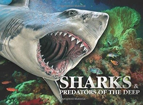 Sharks & Predators of the Deep (Hardcover)