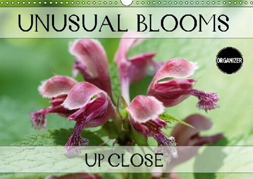 Unusual Blooms Up Close 2019 : A potpourri of peculiar blossoms (Calendar, 4 ed)