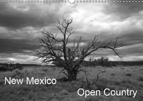New Mexico Open Country 2019 : New Mexico features one of the last wide open landscapes (Calendar, 4 ed)