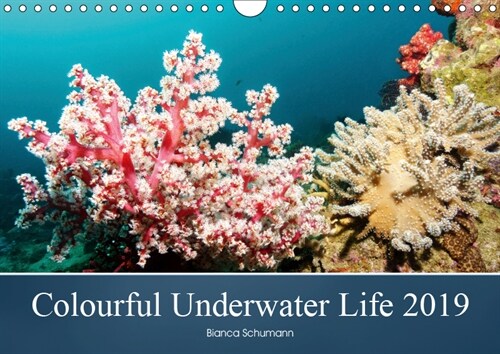 Colourful Underwater Life 2019 2019 : The tropical waters of Pemuteran (Calendar, 2 ed)