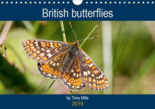 British Butterflies by Tony Mills 2019 : Beautiful British butterflies in superb macro photography. (Calendar)