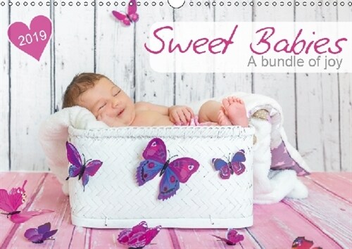 Sweet Babies - A bundle of joy 2019 : Loveable little companions to lighten up Your year (Calendar, 3 ed)