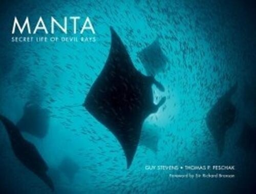 Manta: Secret Life of Devil Rays (Hardcover)