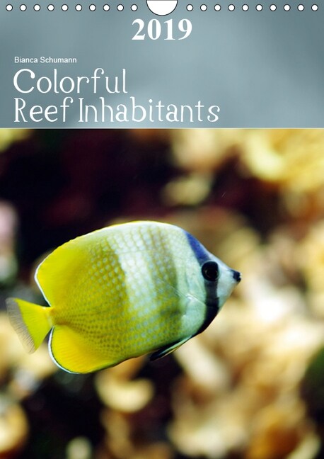 Colorful Reef Inhabitants 2019 : Tropical reefs provide a wide variety of animals and colors (Calendar, 5 ed)