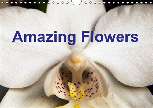 Amazing flowers 2019 : Beautiful floral images (Calendar, 4 ed)