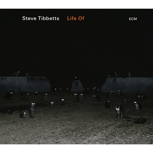 [수입] Steve Tibbetts - Life Of