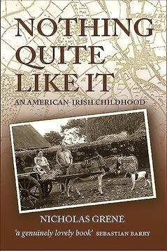 Nothing Quite Like It: An American-Irish Childhood (Paperback)