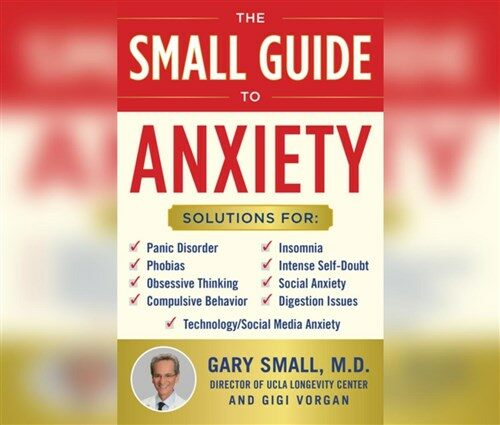 The Small Guide to Anxiety (Audio CD)