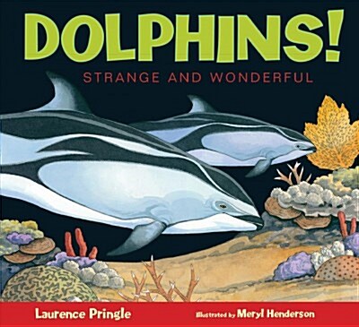 [중고] Dolphins! (Hardcover)