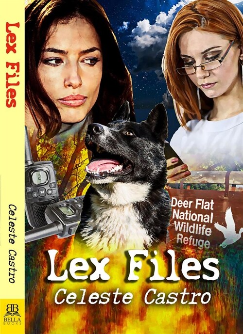 Lex Files (Paperback)