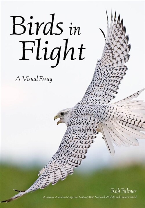 Birds in Flight: A Photographic Essay of Hawks, Ducks, Eagles, Owls, Hummingbirds, & More (Paperback)