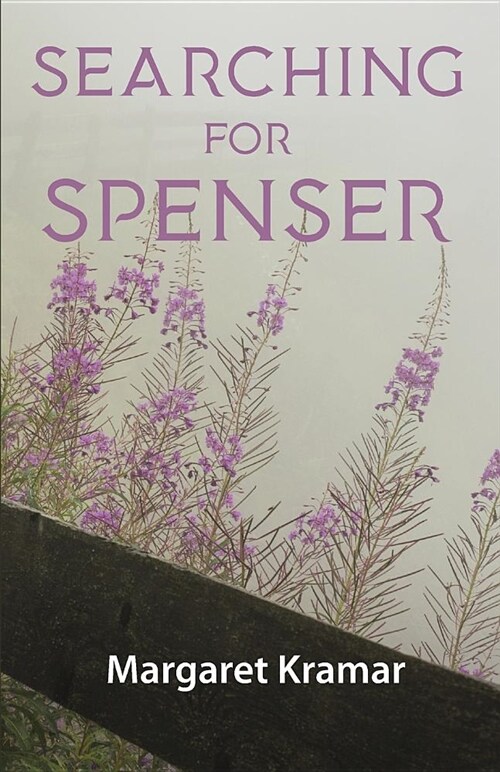 Searching for Spenser: A Mothers Journey Through Grief (Paperback)