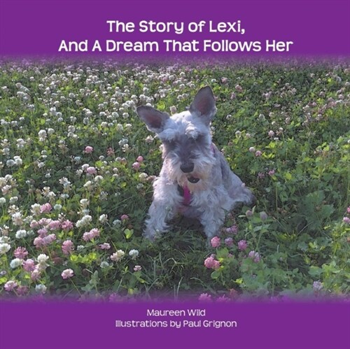 The Story of Lexi: And a Dream That Follows Her (Paperback)