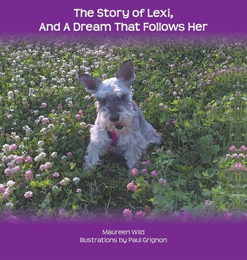 The Story of Lexi: And a Dream That Follows Her (Hardcover)