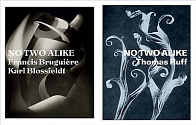 No Two Alike: Karl Blossfeldt, Francis Brugui?e, Thomas Ruff (Paperback)