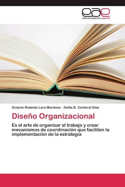 Dise? Organizacional (Paperback)