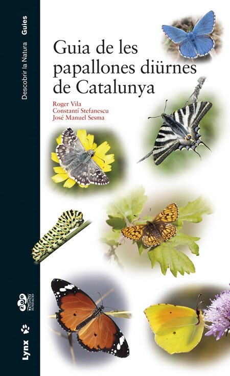 GUIA DE LES PAPALLONES DIURNES DE CATALUNYA (Hardcover)