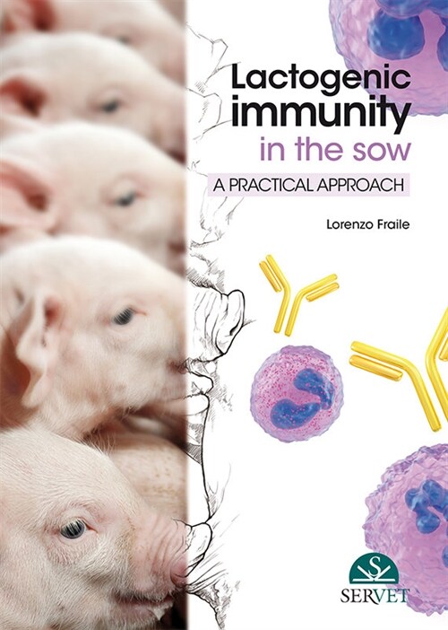 LACTOGENIC IMMUNITY IN THE SOW (Hardcover)