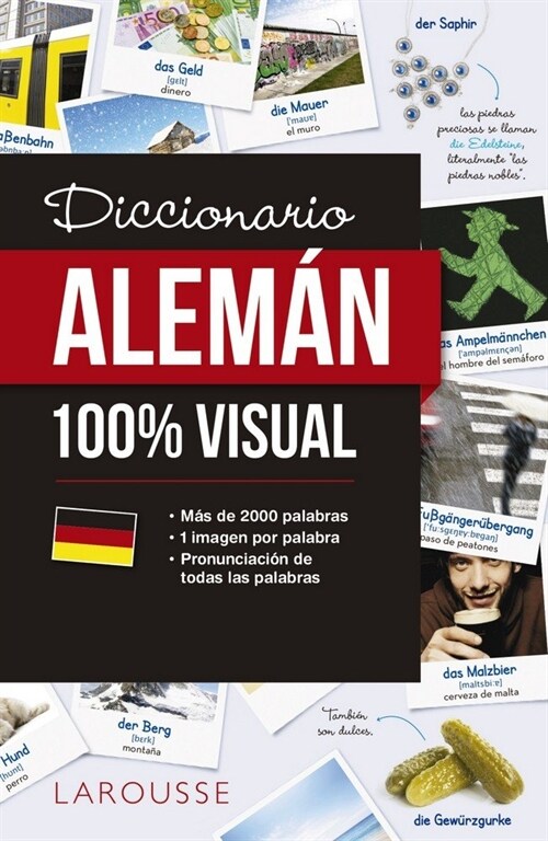 DICCIONARIO DE ALEMAN 100% VISUAL (Paperback)