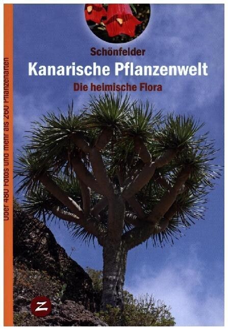 KANARISCHE PFLANZENWELT (Paperback)