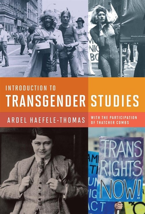 Introduction to Transgender Studies (Paperback)