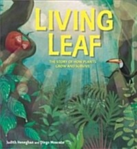 Plant Life: Living Leaf : The Story of How Plants Grow and Survive (Paperback)