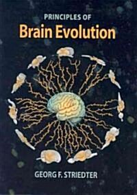 Principles Of Brain Evolution (Hardcover)
