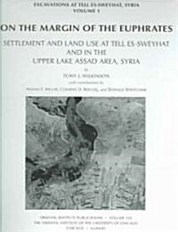 On the Margin of the Euphrates: Settlement and Land Use at Tell Es-Sweyhat and in the Upper Tabqa Area, Syria (Hardcover)