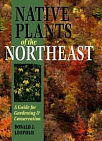 Native Plants of the Northeast: A Guide for Gardening and Conservation (Hardcover)