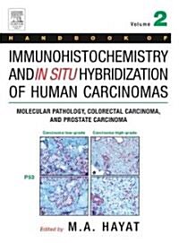Handbook of Immunohistochemistry and in Situ Hybridization of Human Carcinomas: Molecular Pathology, Colorectal Carcinoma, and Prostate Carcinoma (Hardcover, New)