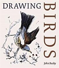 Drawing Birds (Paperback, 2nd)