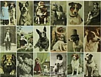 Postcard Dogs (Hardcover)
