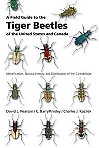 A Field Guide To The Tiger Beetles Of The United States And Canada (Paperback)
