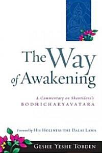 The Way Of Awakening (Paperback)