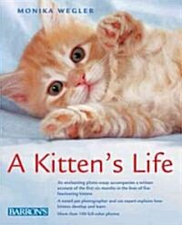A Kittens Life (Hardcover)