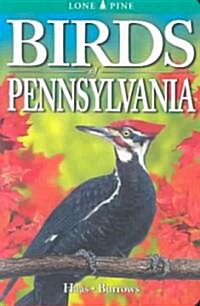 Birds of Pennsylvania (Paperback)