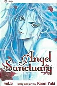 Angel Sanctuary, Vol. 5 (Paperback)