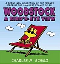 Woodstock a Birds-Eye View (Paperback)