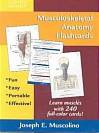 Musculoskeletal Anatomy Flashcards (Cards)
