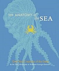 [중고] The Anatomy of the Sea: Over 600 Creatures of the Deep (Paperback)