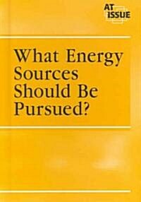 What Energy Sources Should Be Pursued? (Library)
