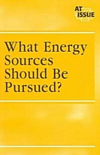What Energy Sources Should Be Pursued? (Paperback)