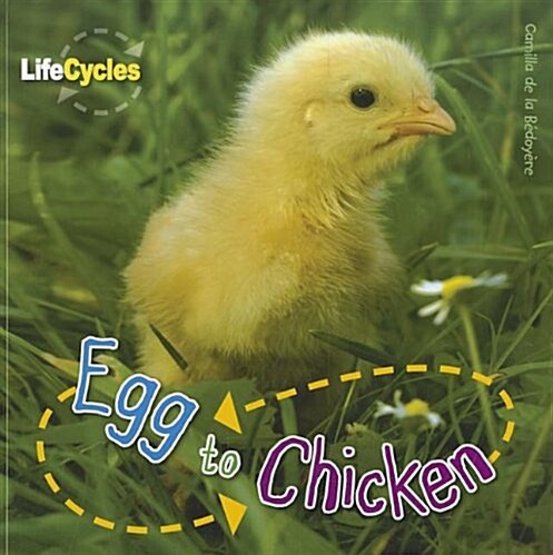 Egg to Chicken (Paperback)
