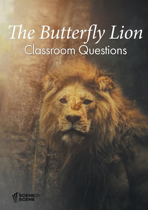 The Butterfly Lion Classroom Questions (Paperback)