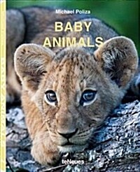 Baby Animals (Hardcover)