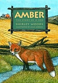 [중고] Amber: The Story of a Red Fox (Paperback)