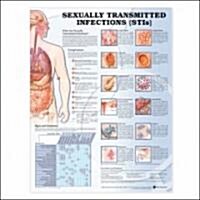 Sexually Transmitted Infections Anatomical Chart (Other, 2)